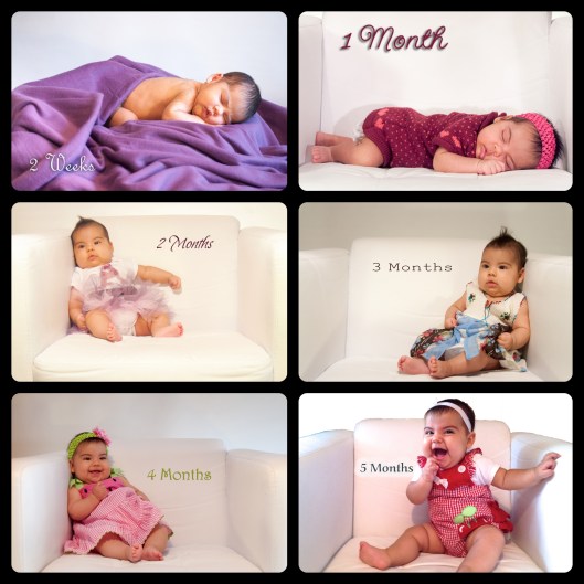 Snapshots from the last 5 months